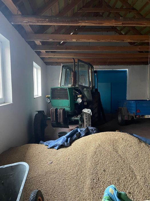 Трактор ЮМЗ , бу