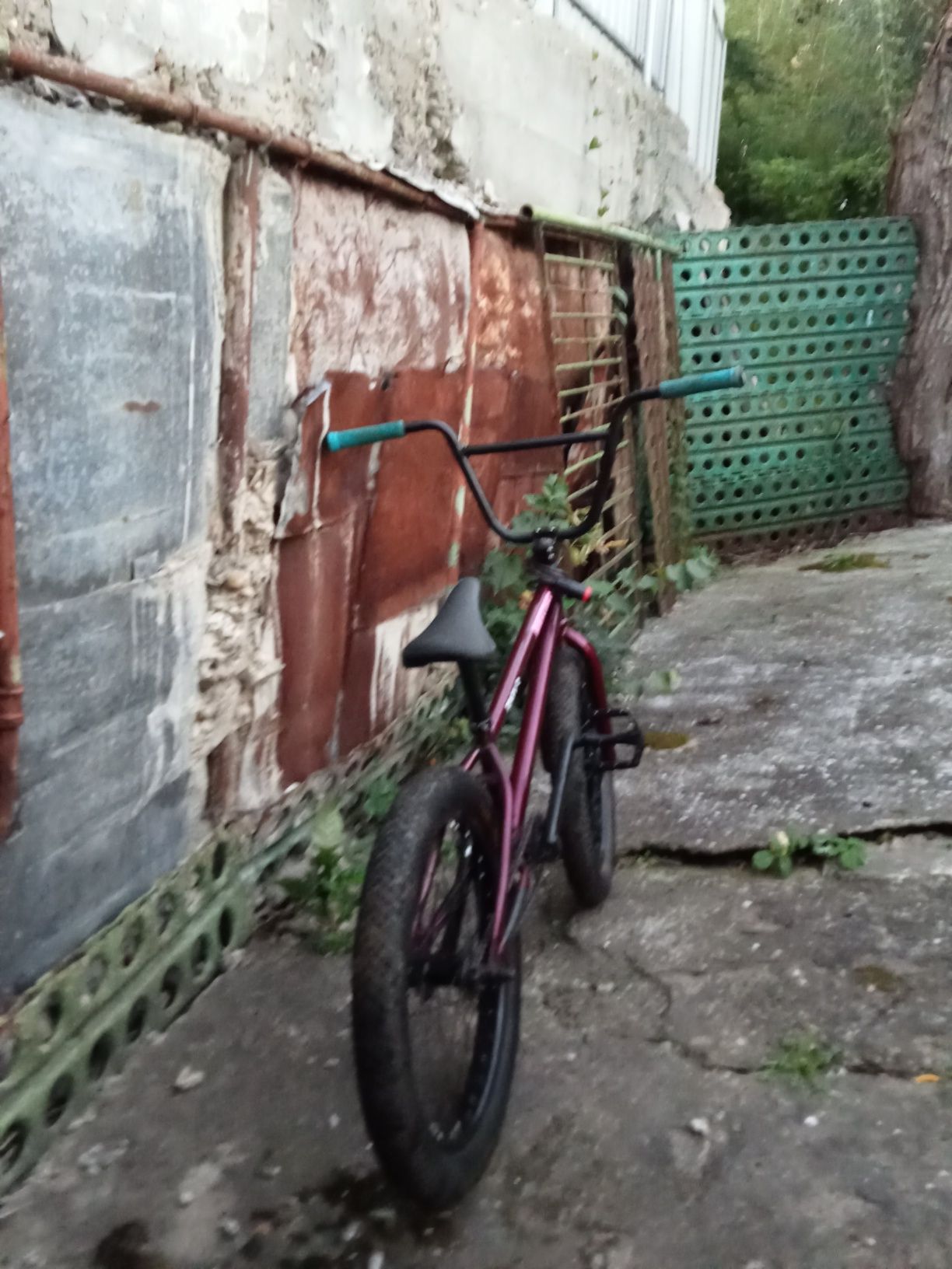 BMX dirt/streetㅤㅤㅤ