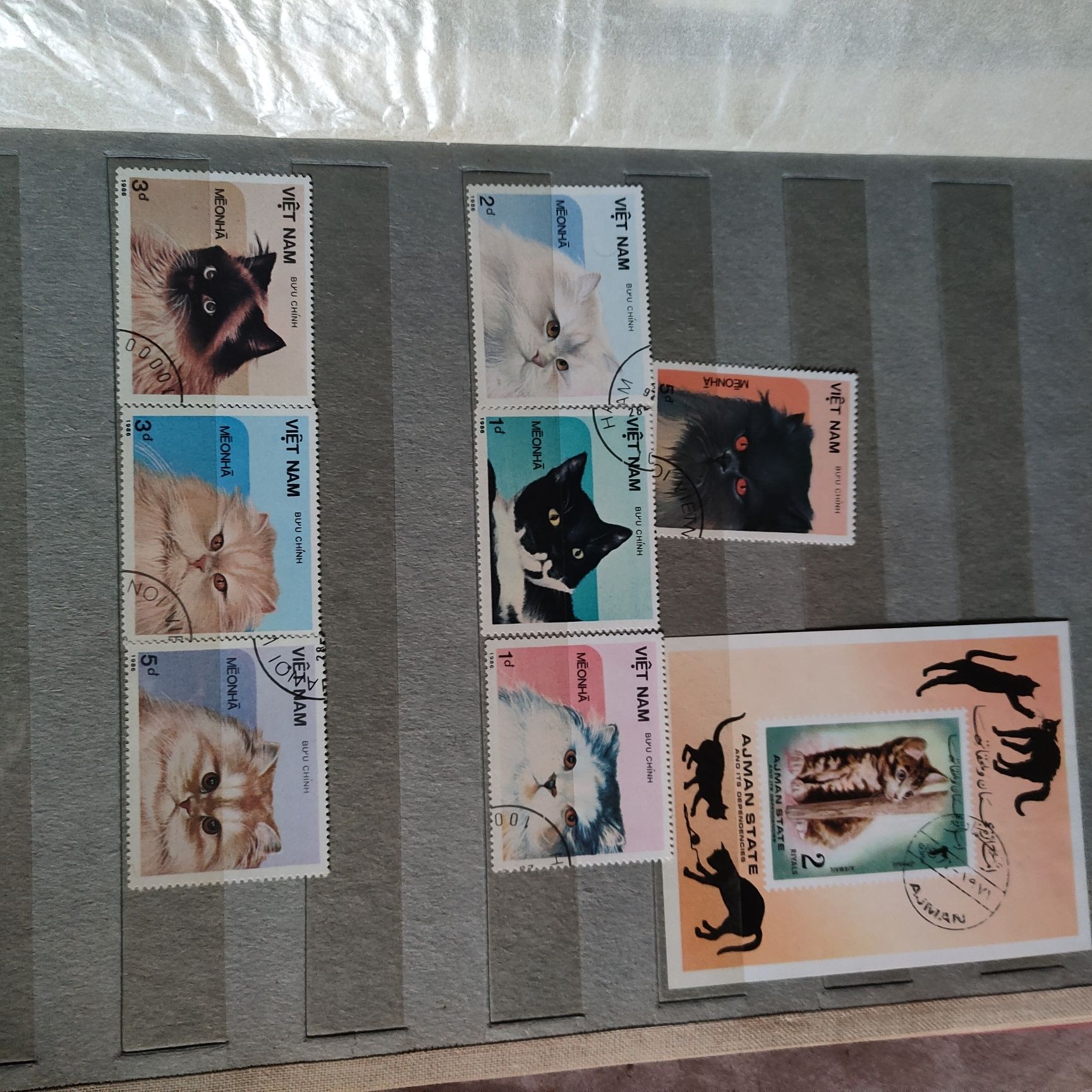 Кошки  коты марки