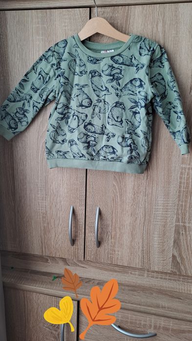 98. Bluza króliki króliczki królik
