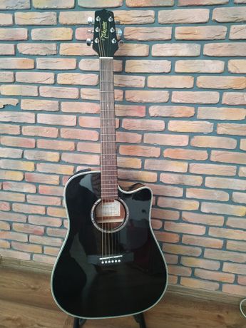 Електроакустична гітара Takamine EG531SC