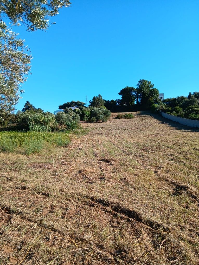 Terreno em Palmela