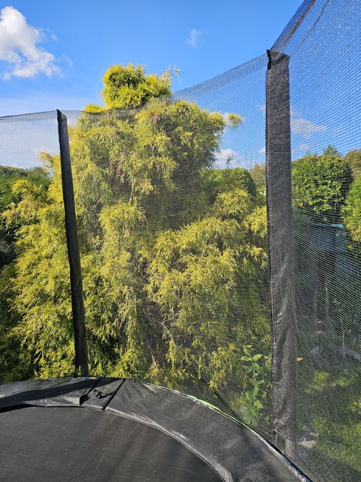 Trampolina  Zipro