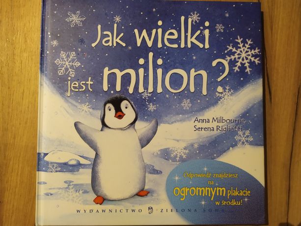 Książka Jak wielki jest milion?