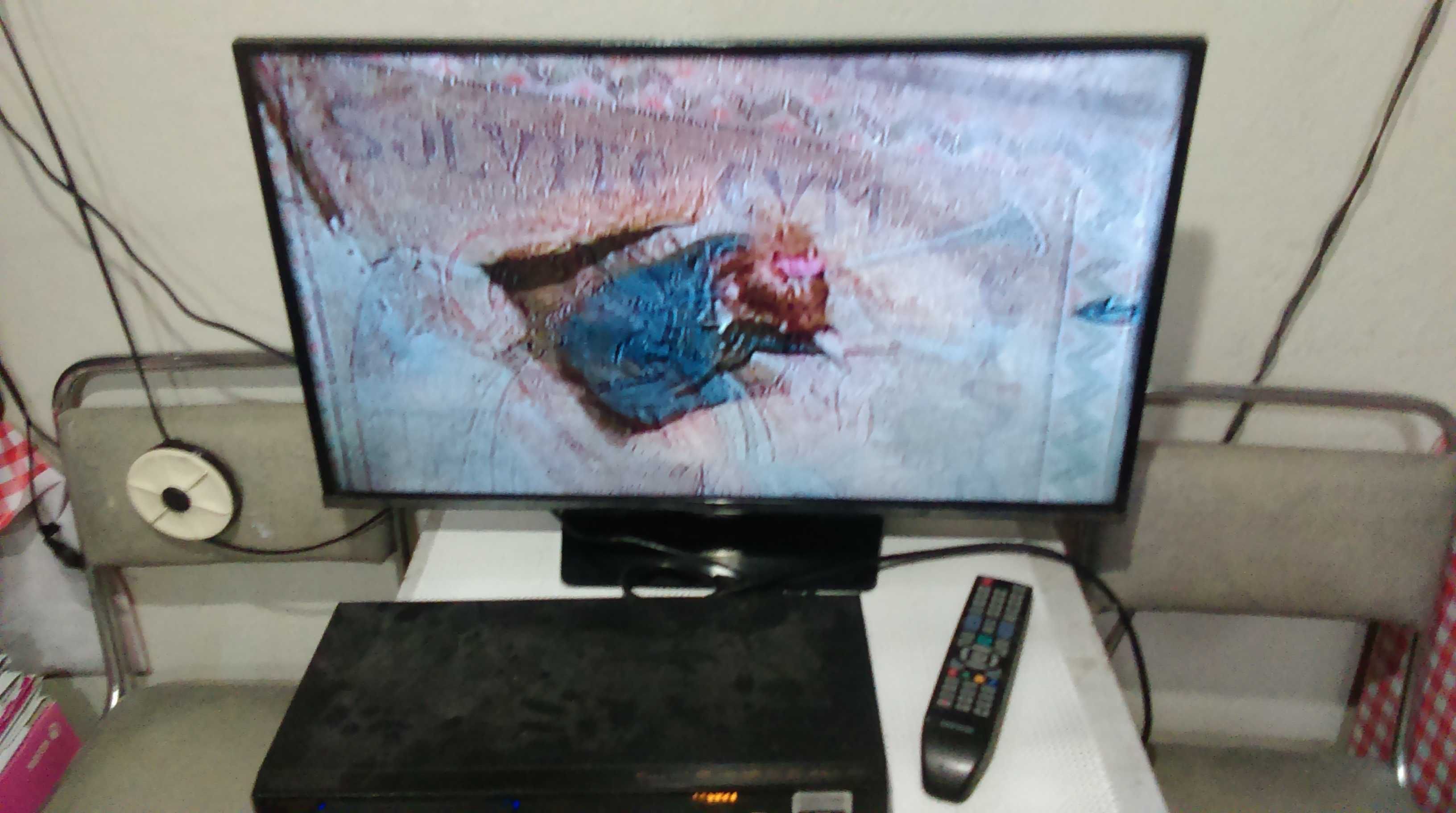 telewizor led samsung 32 cale sprawny UEH5000AW