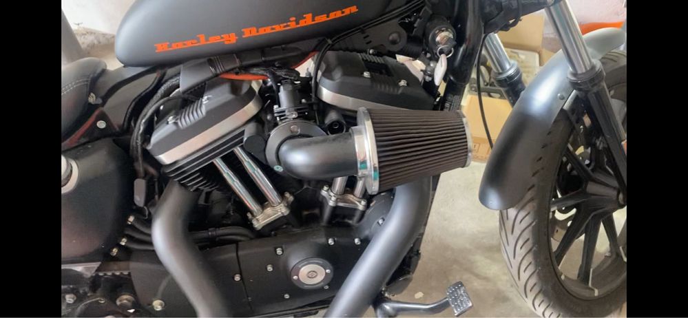 Harley davidson custom 883 iron 2019 rok