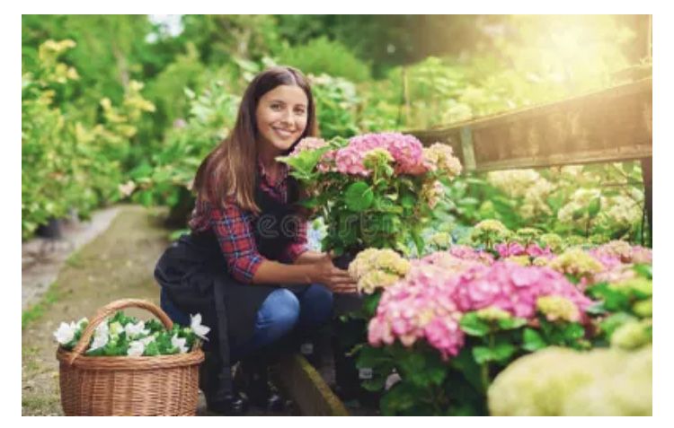 Садовник-выполняем все садовые работы