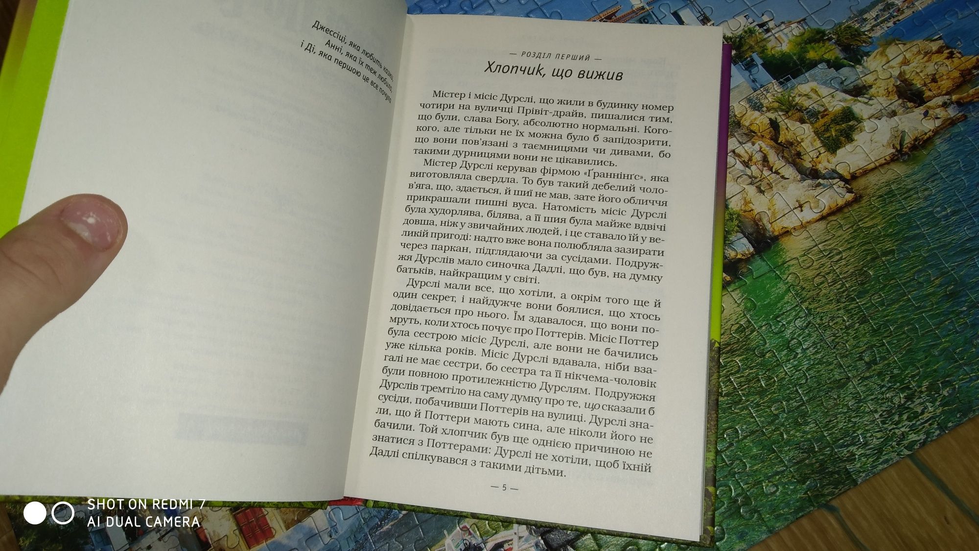 НЕЙМОВІРНА КНИЖКА! Гаррі Поттер і філософський камінь.