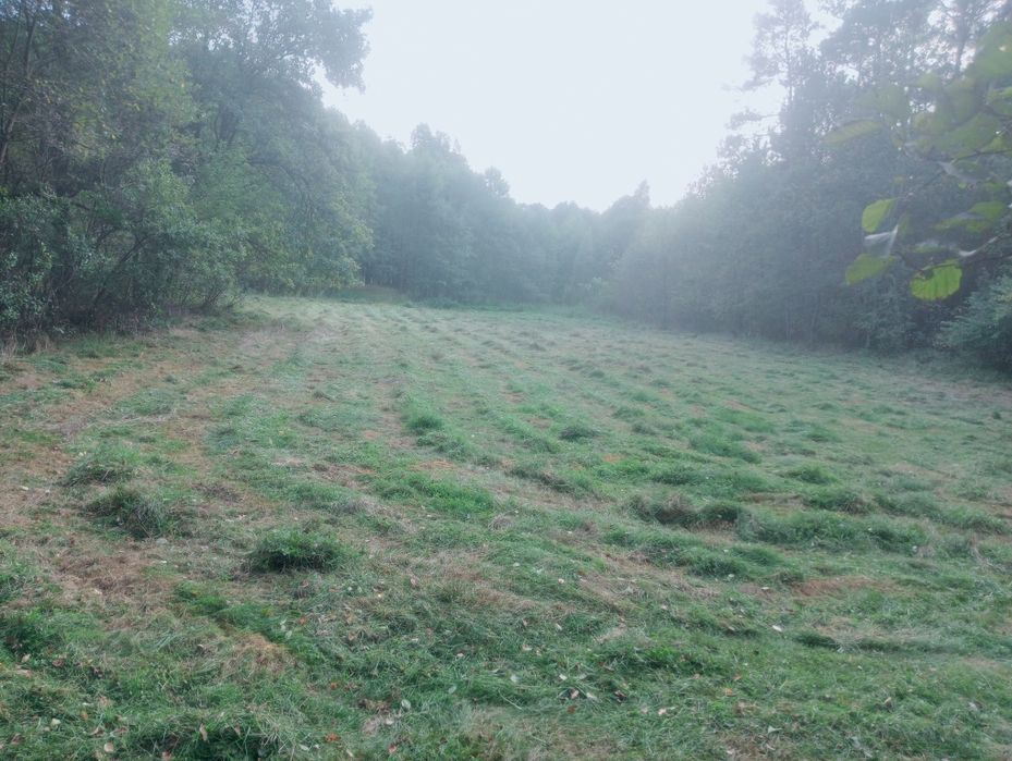 Działka 0,56 ha rolno leśna
