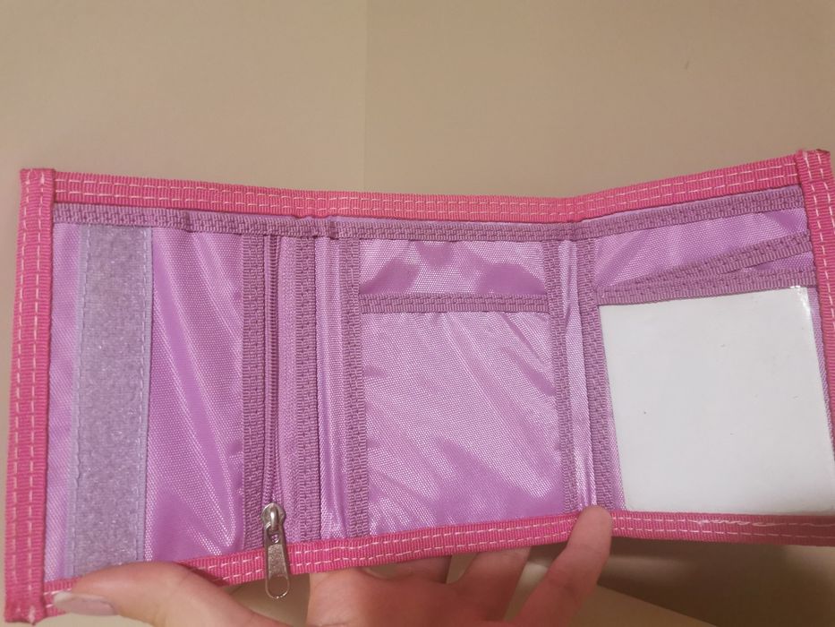 Carteira nova da violeta