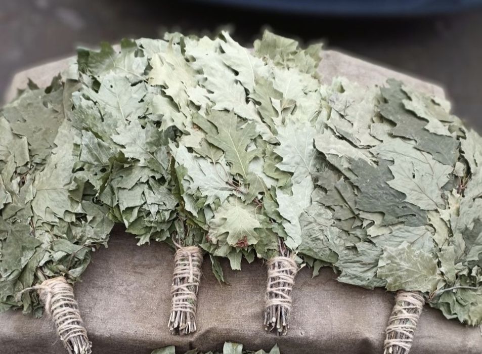 Віники в сауну березові дубові євкаліпт лавада травяні для запаха мята