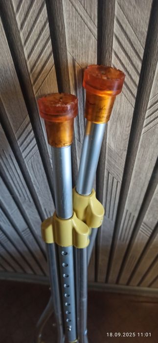 Костели  продам .