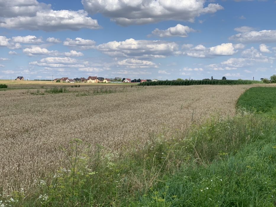 Земля село Волиця-Комарів