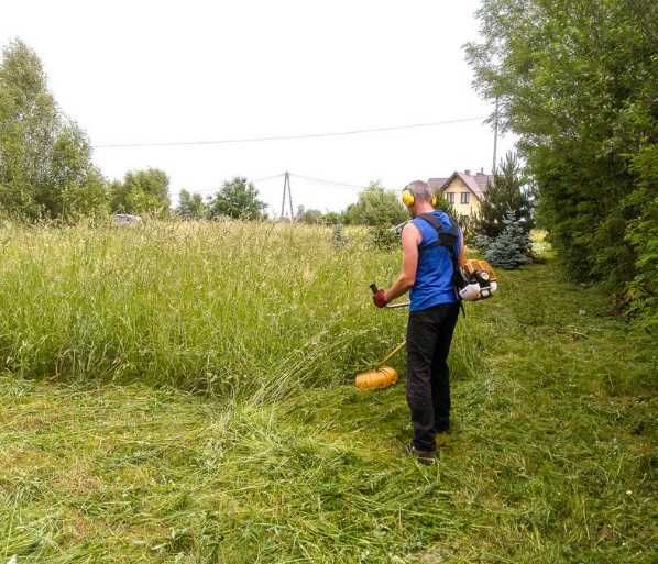 Wycinka i przycinanie drzew, Usługi ogrodnicze, Czyszczenie, Wywóz