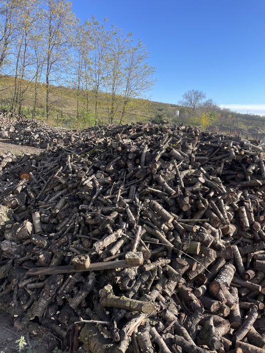 Drewno opałowe owocowe