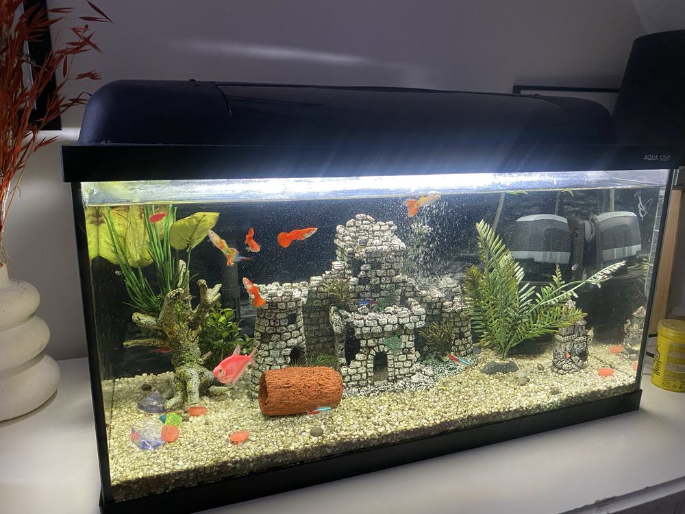 Akwarium 65 L Filtr grzalka