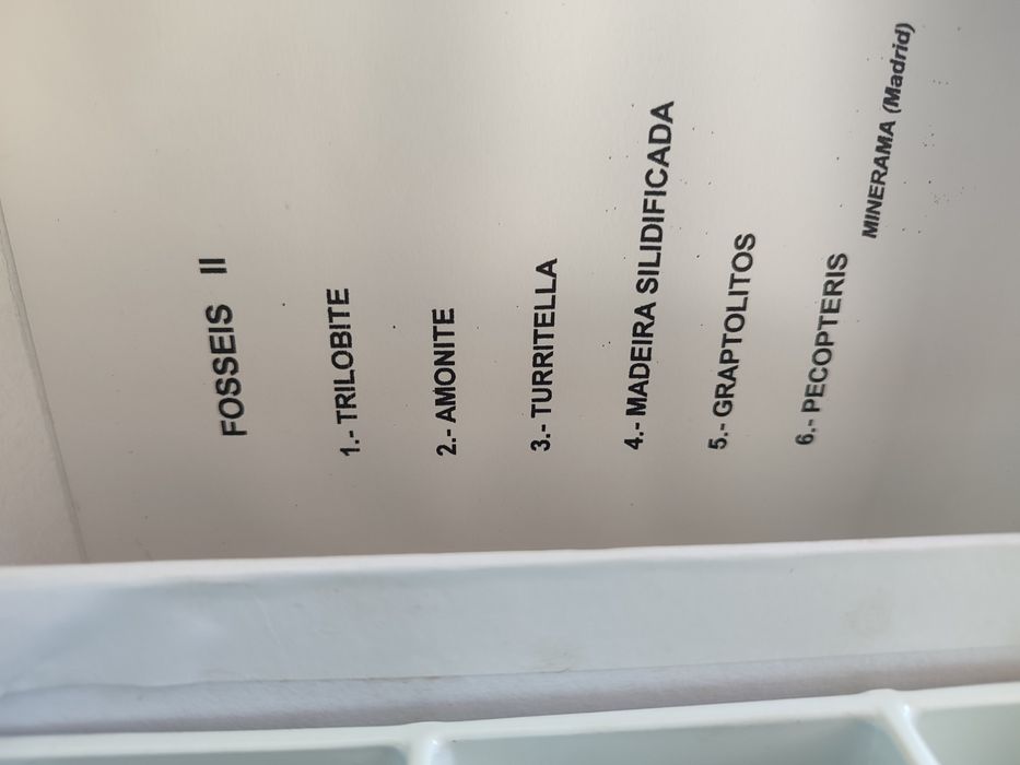 Fósseis - material escolar