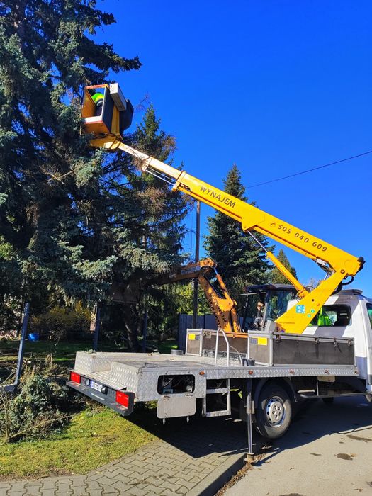 Wycinka, przycinka drzew, rembak!!