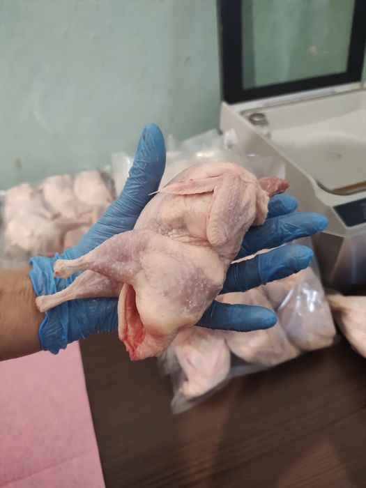 Реалізуємо Тушки перепелів