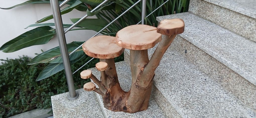 Expositor, suporte com ramo natural e com tratamento