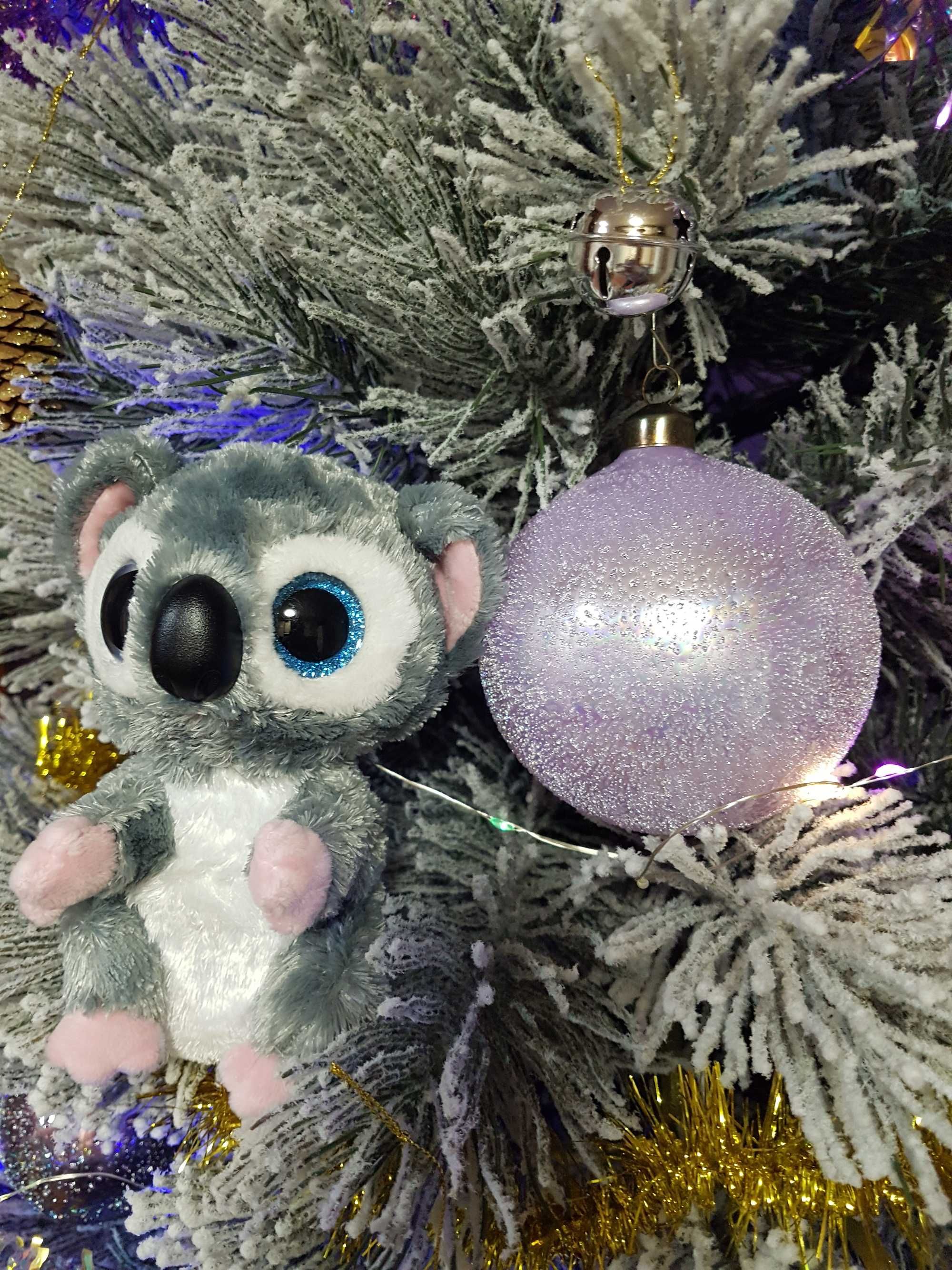 TY Beanie Boos глазастик коала Katy Koala 15 см