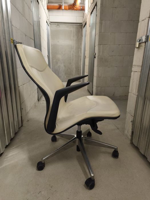 Fotel ergonomiczny obrotowy Linus 10z