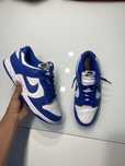 Nike Dunk Low azul