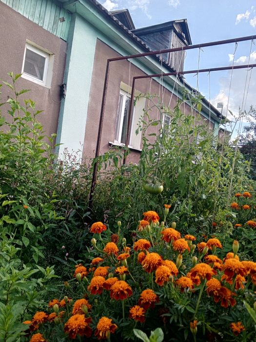 Продаж Будинок,заїхати і Насолоджуватися Життям