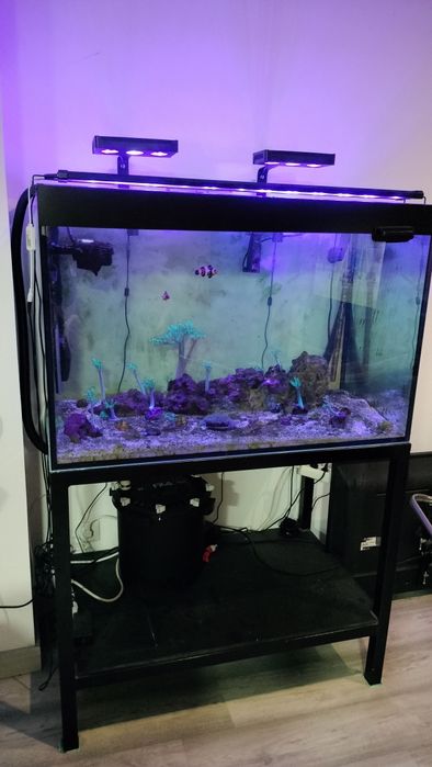 Aquário de 400lt com móvel