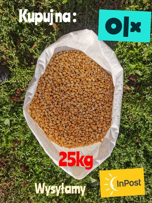 Groch połówki opakowanie 25kg wysyłka natychmiast Inpost