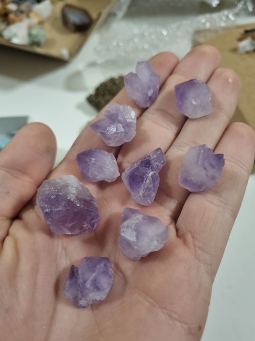 Ametyst zestaw kryształów