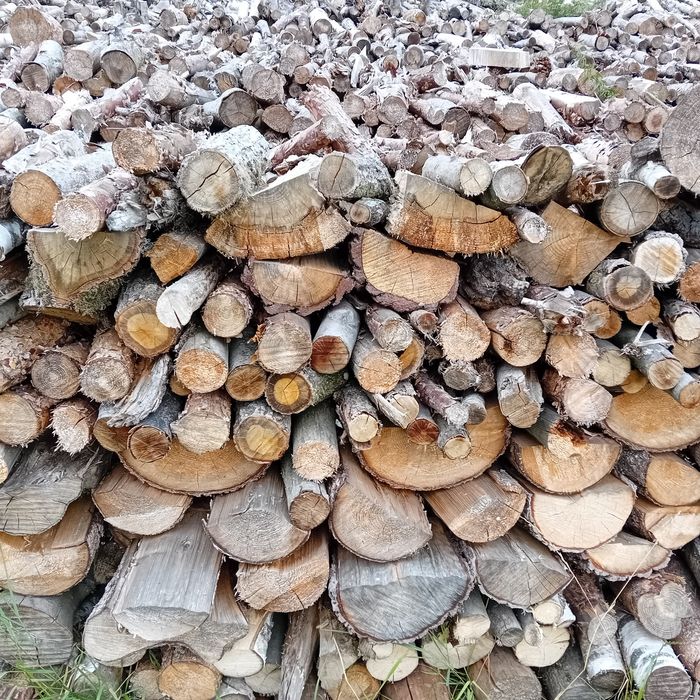 Drewno opalowe mieszane suche