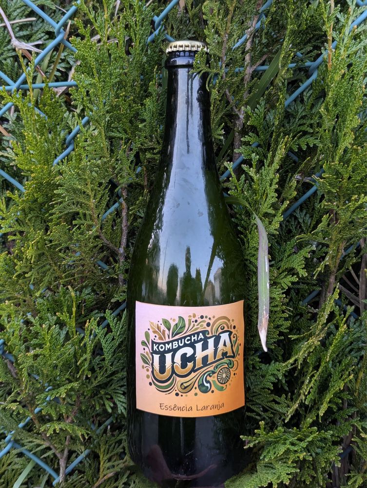 Kombucha Artesanal