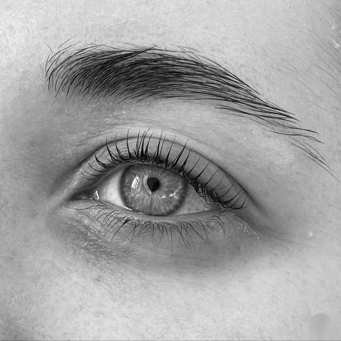 Запорожье лами ресничек