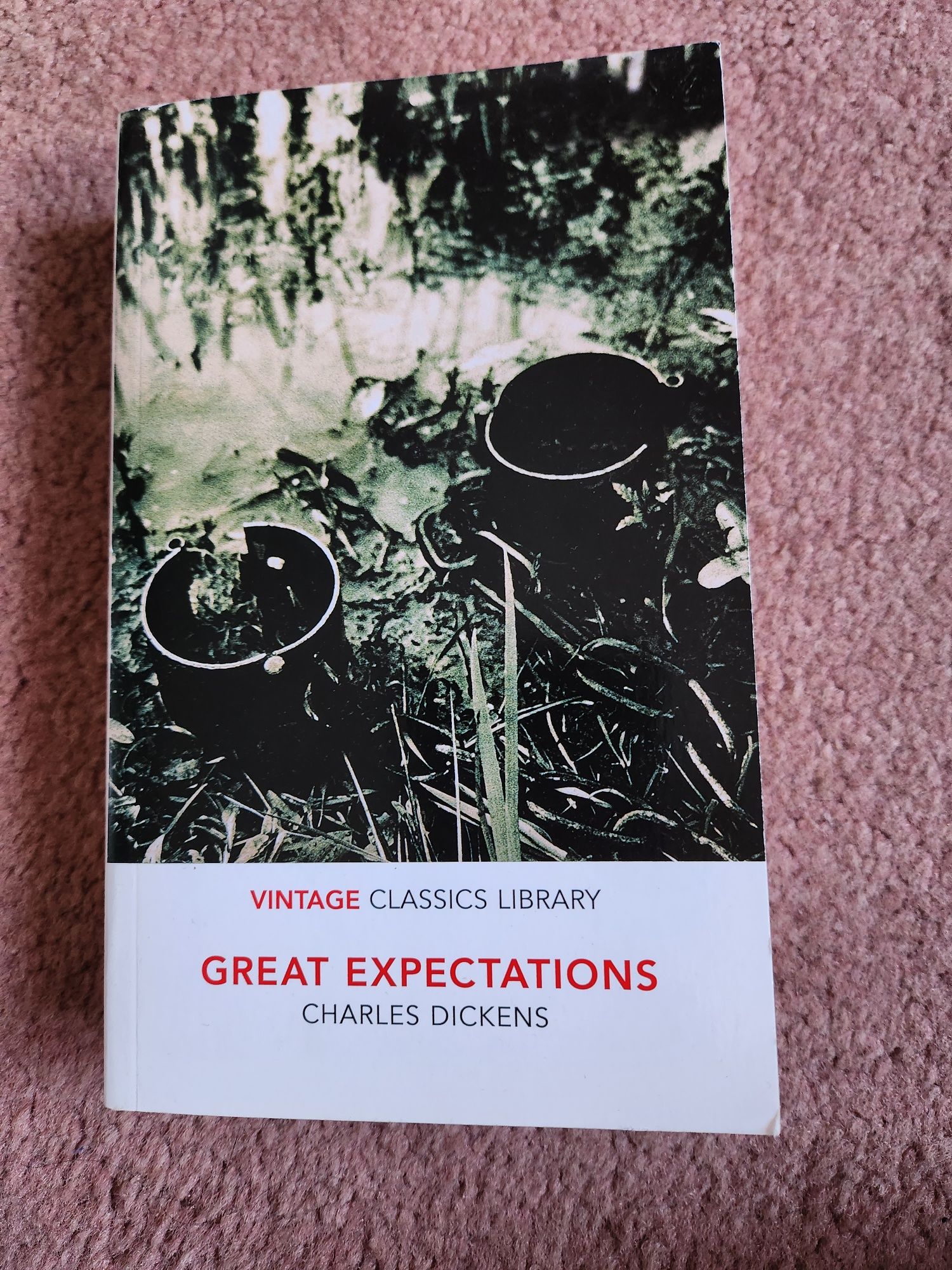 Great Expectations Charles Dickens