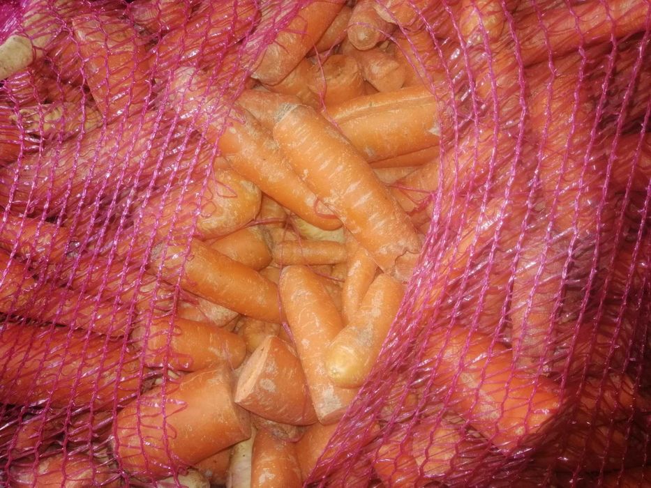 Marchew Odpadowa Burak Por Seler Pietruszka Kapusta