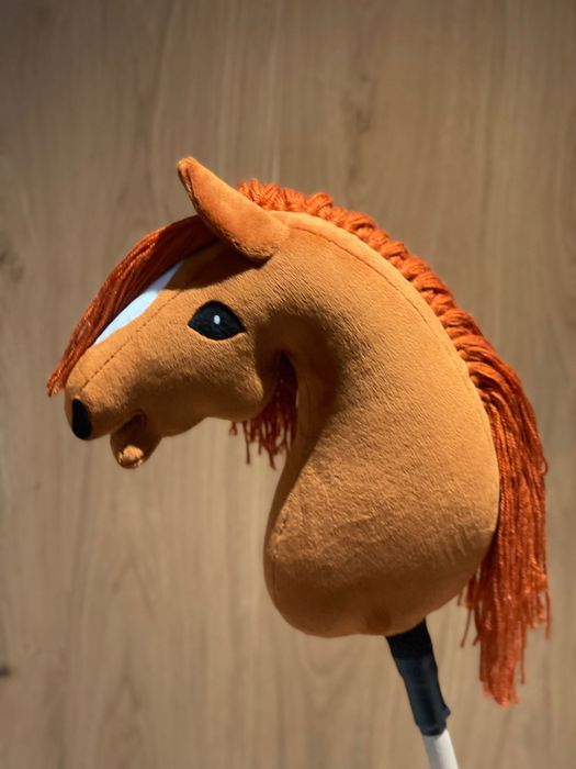 Hobby Horse A3 na kiju