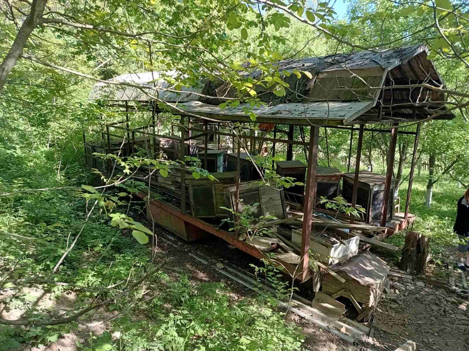 Прицеп для перевозки бджіл