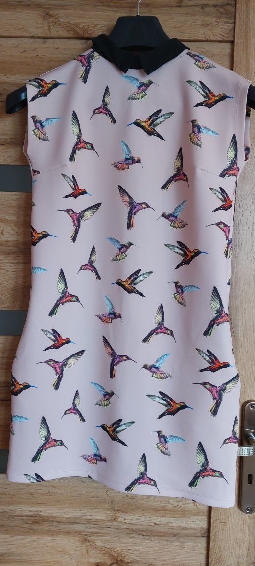 Sukienka kolibry Mohito XS
