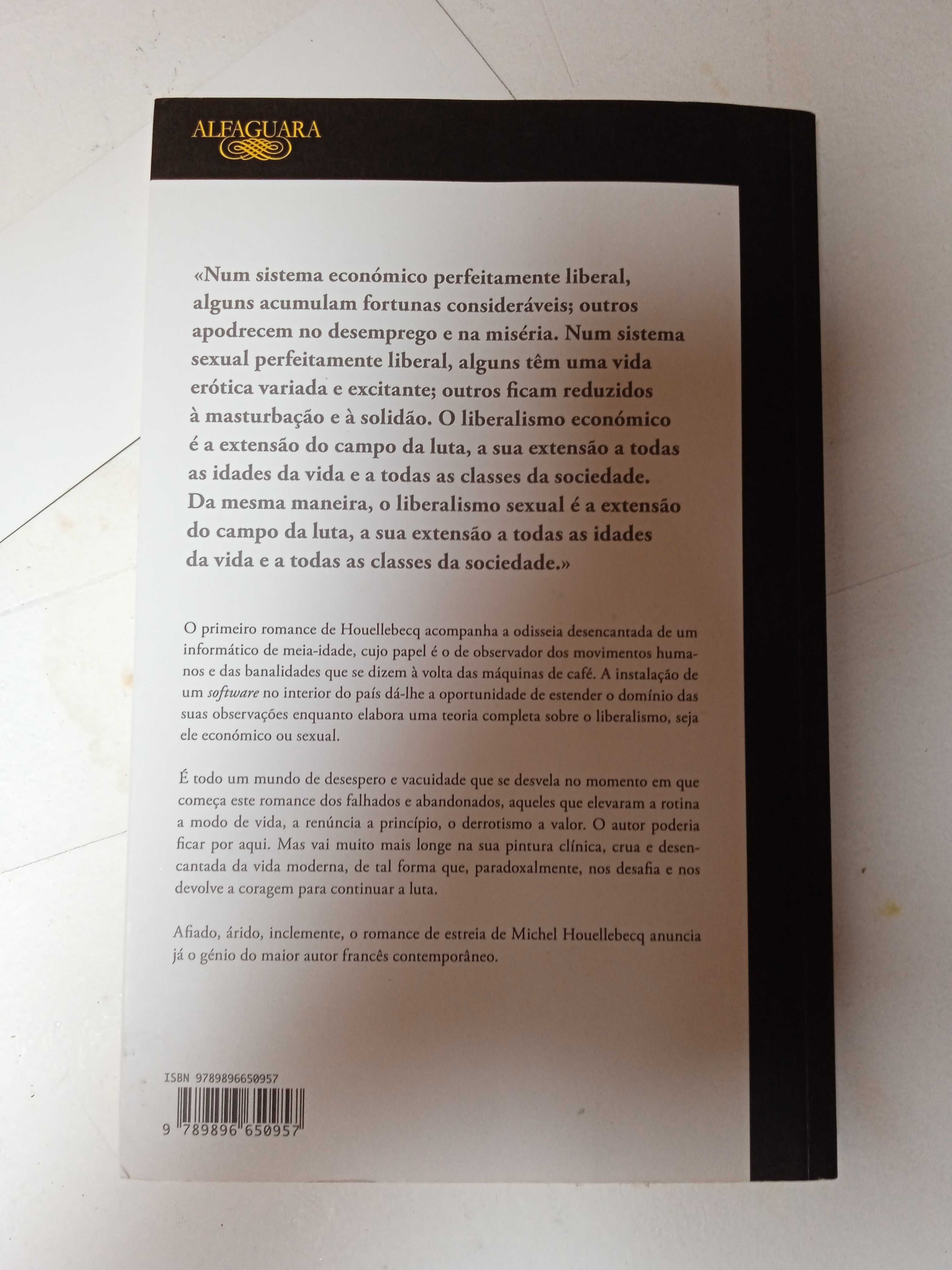 Extensão do domínio da Luta - Michel Houellebecq