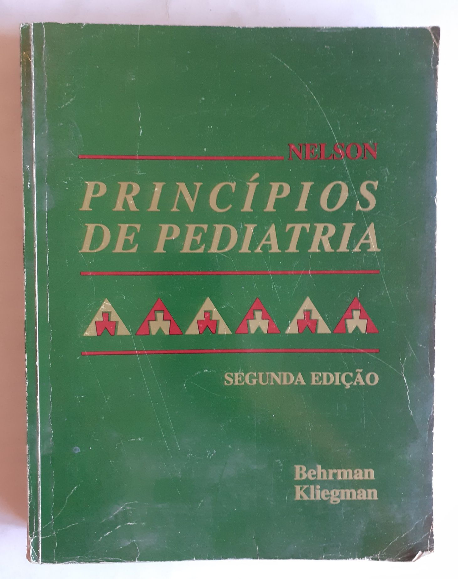 Livro Princípios de Pediatria - Segunda Edição