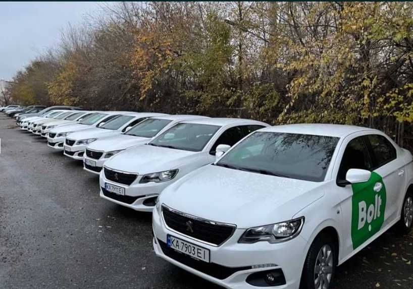 Оренда Renault Logan від 3 585 за тиждень (ліцензія є)