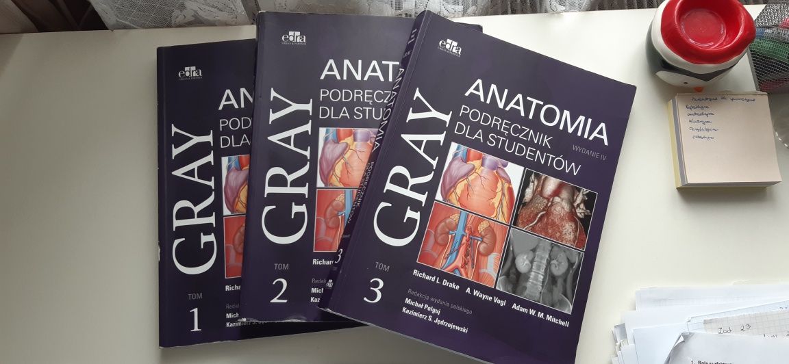 Podręczniki anatomii Gray
