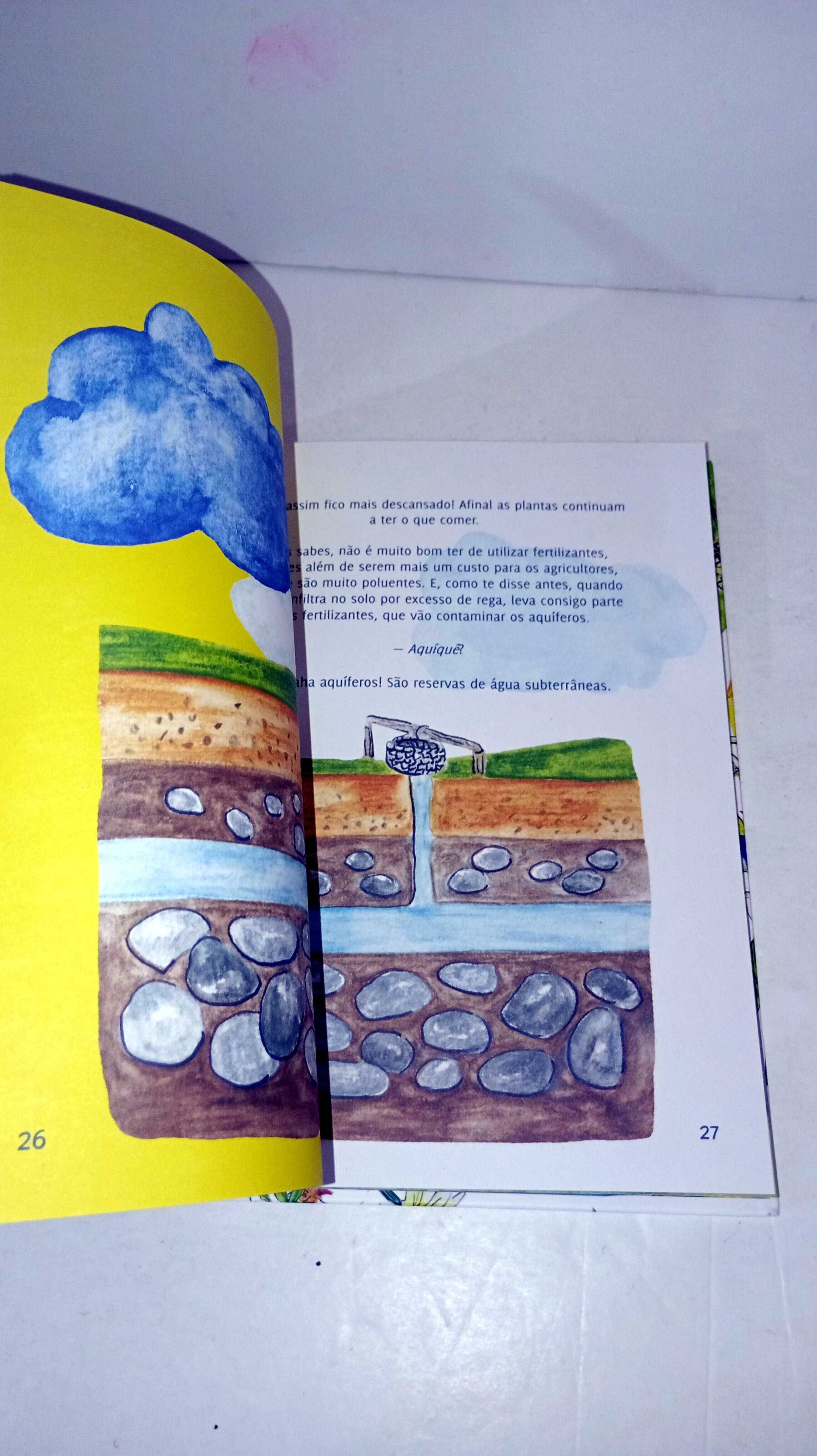 Vamos Salvar o Dragão