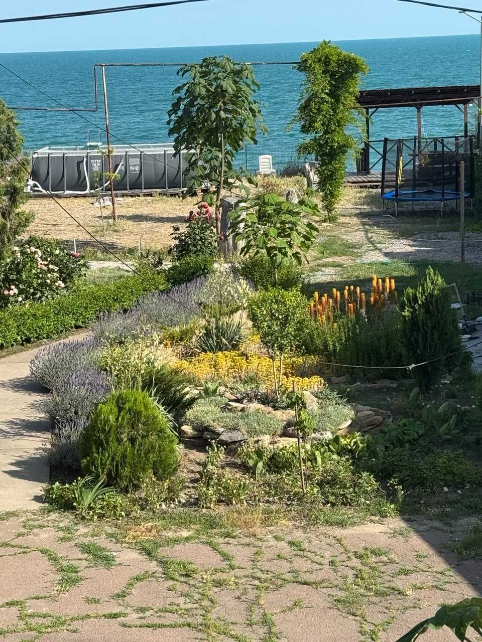 Bukhta. Бухта.  Свій пляж. Це про любов до моря.