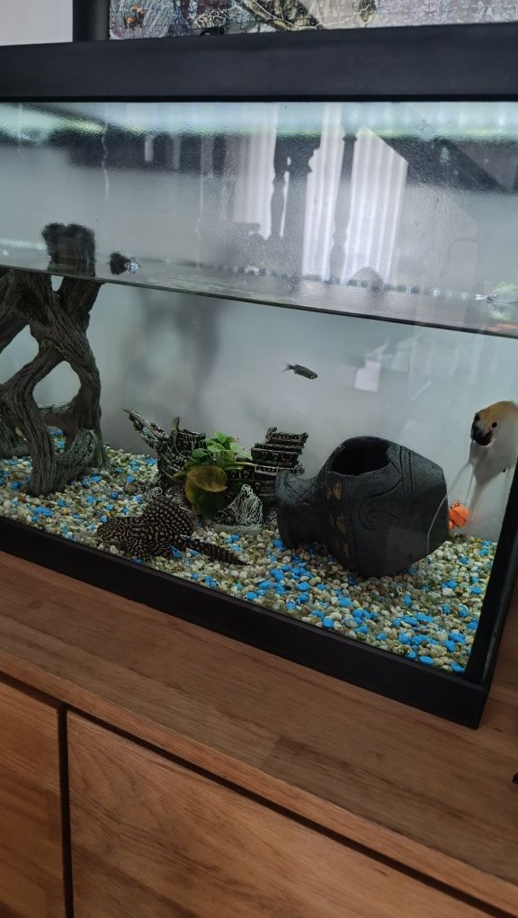 Aquário peixes 100cm
