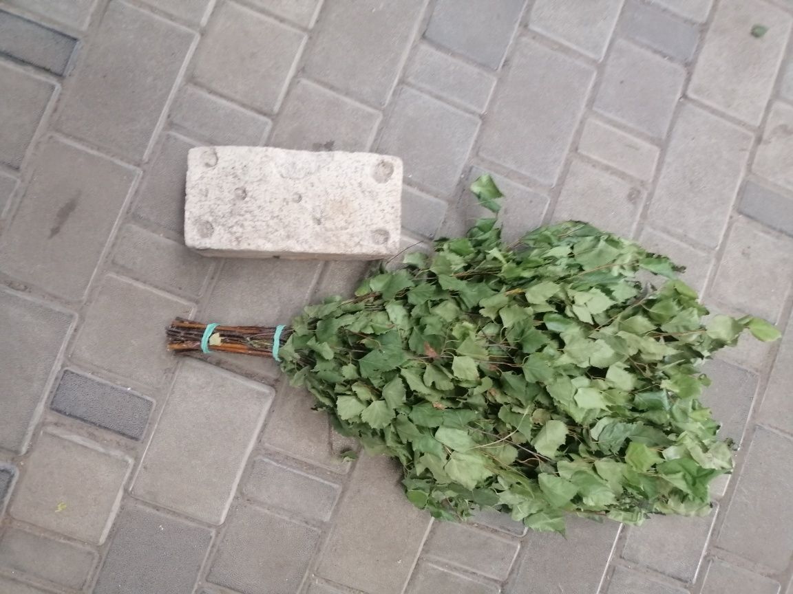 Віники для бані березові