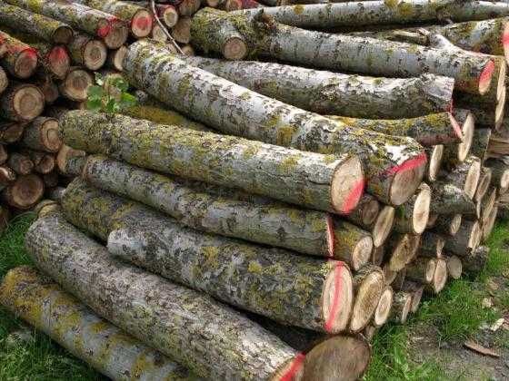 Drewno opałowe liściaste osika wałki klocki suche