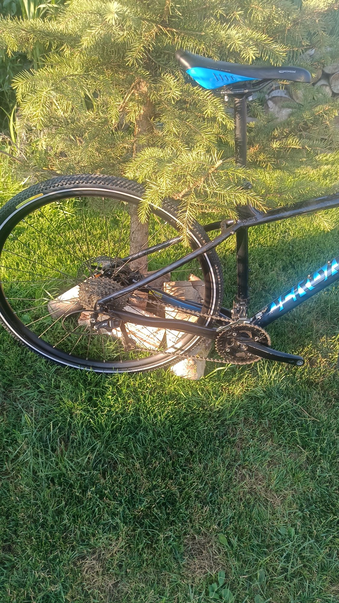 Śliczny,lekki bergamont revox 5.