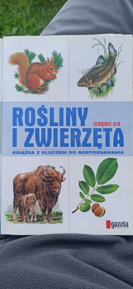 Książki "rośliny i zwierzęta" z kluczem